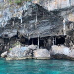 Koh Phi Phi: Early Morning Maya Bay, Bamboo Speedboat Tour - A Detailed Look at the Tour Experience