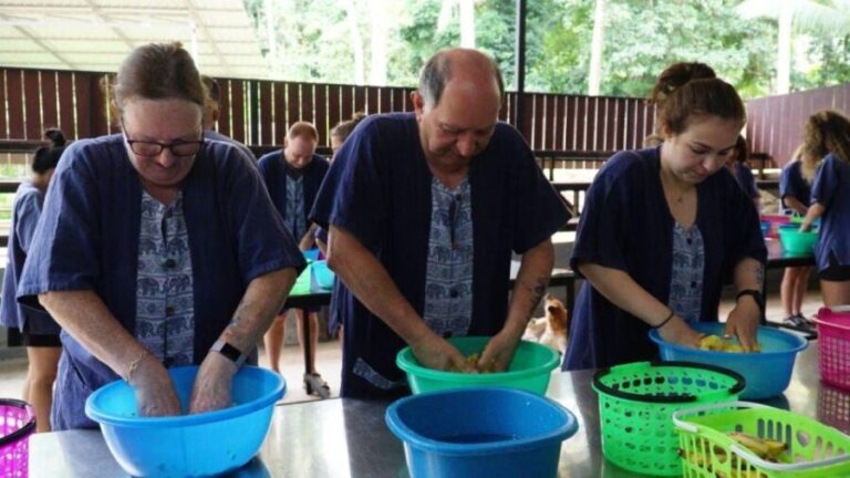 Koh Samui: 4x4 Sightseeing Safari & Elephant Sanctuary Tour - What’s Truly Valuable About This Tour