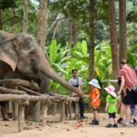 Koh Samui: Elephant Sanctuary Entry and Feeding Experience - How the tour is structured
