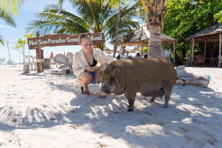 Koh Samui: Island Hopping Adventure in Coral and Pig Island - What’s Included and What’s Not