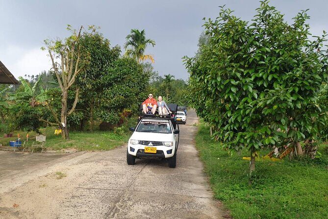 Koh Samui Jungle Safari Around The island Tour - Who Will Love This Tour?