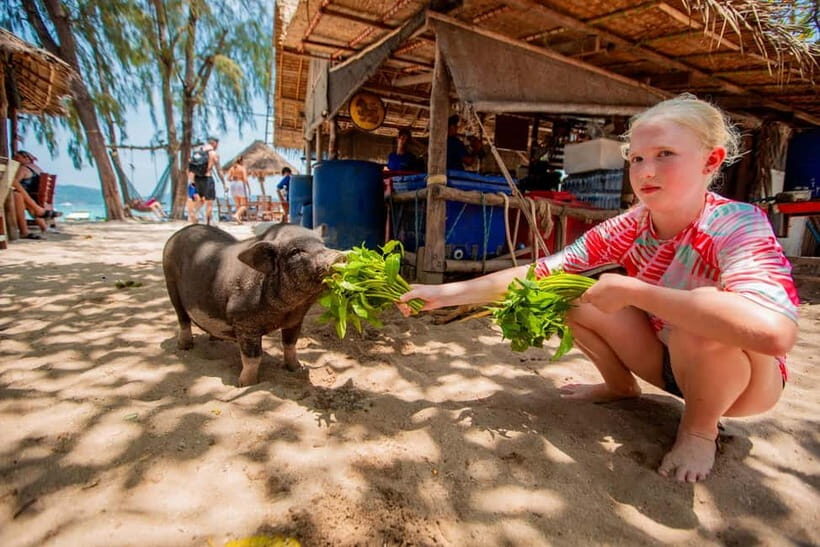 Koh Samui: Pig Island Day Tour by Speedboat - A Closer Look at the Experience
