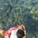 Koh Samui Snorkeling and Kayaking - Frequently Asked Questions