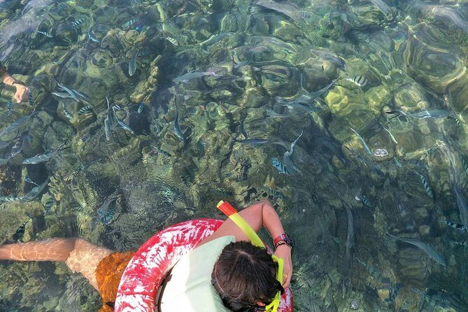 Koh Samui Snorkeling and Kayaking - Frequently Asked Questions