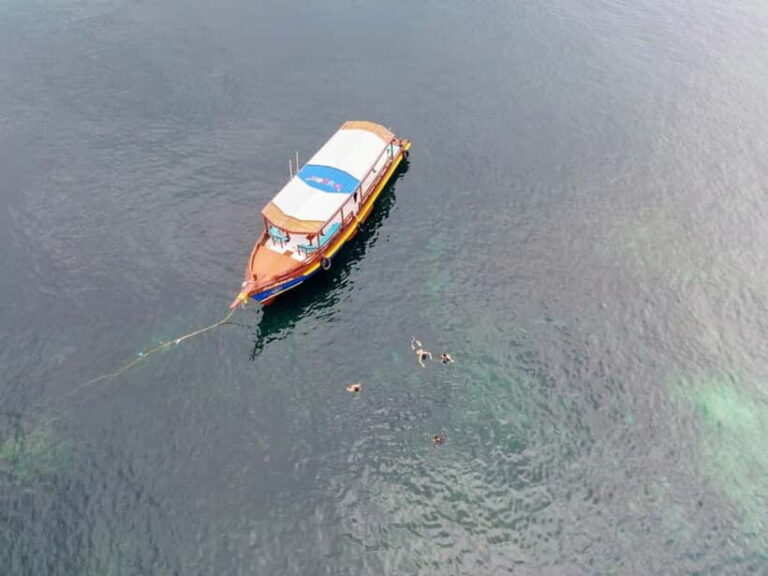 Koh Tao: First Light Snorkel Adventure with Oxygen Tours - Itinerary Breakdown