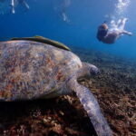 Koh Tao: Golden Hour Getaway  Your Late Start to Paradise - Final Thoughts