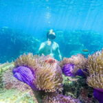 Koh Tao: Koh Nangyuan & Hidden Bays Snorkeling Tour w/ Lunch - FAQ