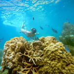 Koh Tao: Snorkeling Trip to Nang Yuan Island & Hidden Bays - The True Value of This Tour