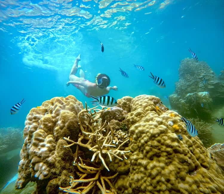 Koh Tao: Snorkeling Trip to Nang Yuan Island & Hidden Bays - The True Value of This Tour