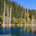 Kolsai & Kaindy Lakes + Charyn Canyon private 2-day tour - Practical Details & What’s Included