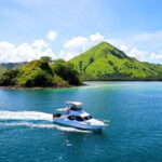 Komodo Island Adventure from Bali (Day Trip) - Transportation and Logistics