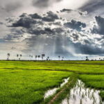 Kompong Kleang Village and Tonle Sab Lake - In-Depth Review of the Kompong Khleang & Tonle Sap Lake Tour