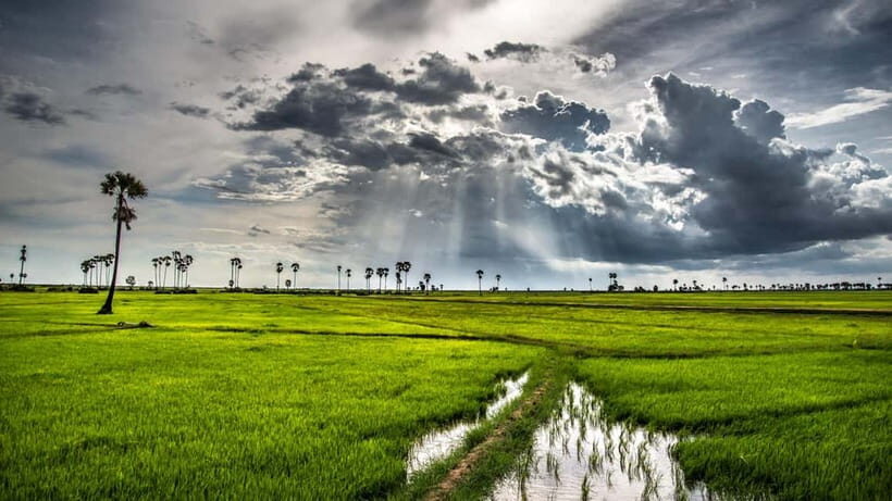 Kompong Kleang Village and Tonle Sab Lake - In-Depth Review of the Kompong Khleang & Tonle Sap Lake Tour