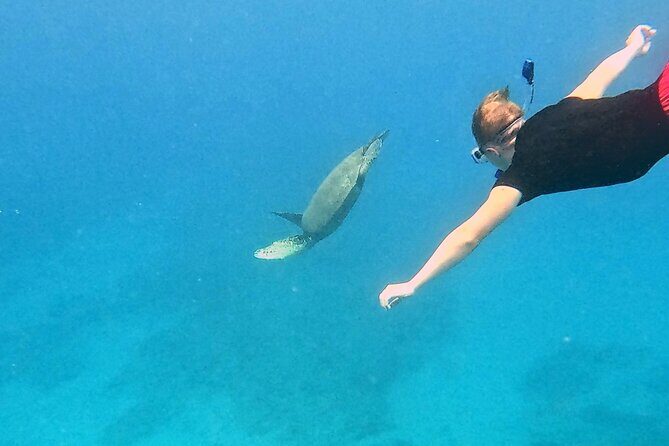 Kona Snorkeling Adventure Open Charter - The Experience in Detail — What to Expect