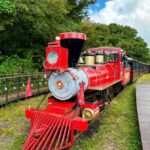 Korea Mt. Hallasan Echoland Park Forest Train & Entry Ticket - Who Will Enjoy This Tour?