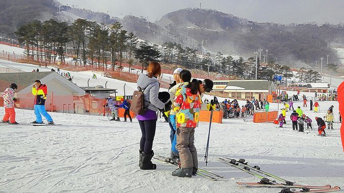 Korea Ski Tour from Seoul - Jisan Forest Resort - The Experience in Context: Is It Worth It?