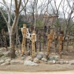 Korean Folk Village Afternoon Tour from Seoul - Who Will Love This Tour?