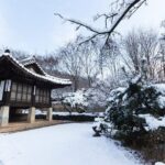 Korean Folk Village Private Tour - Who Should Consider This Tour?