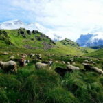 Kori Danda 3-Day Trek - What Makes This Trek Special?