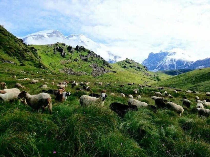 Kori Danda 3-Day Trek - What Makes This Trek Special?