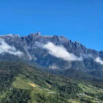 Kota Kinabalu: Poring Hot Spring, and Kinabalu Park Day Trip - What We Loved About the Tour