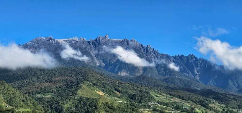 Kota Kinabalu: Poring Hot Spring, and Kinabalu Park Day Trip - What We Loved About the Tour