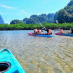 Krabi: A Kayaking Odyssey through Din Daeng Mangrove Maze - What the Tour Includes and Excludes