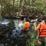 Krabi: Amazon Klong Srakaew Kayaking With Lunch - An In-Depth Look at Krabi’s Amazon Klong SraKaew Kayaking Tour