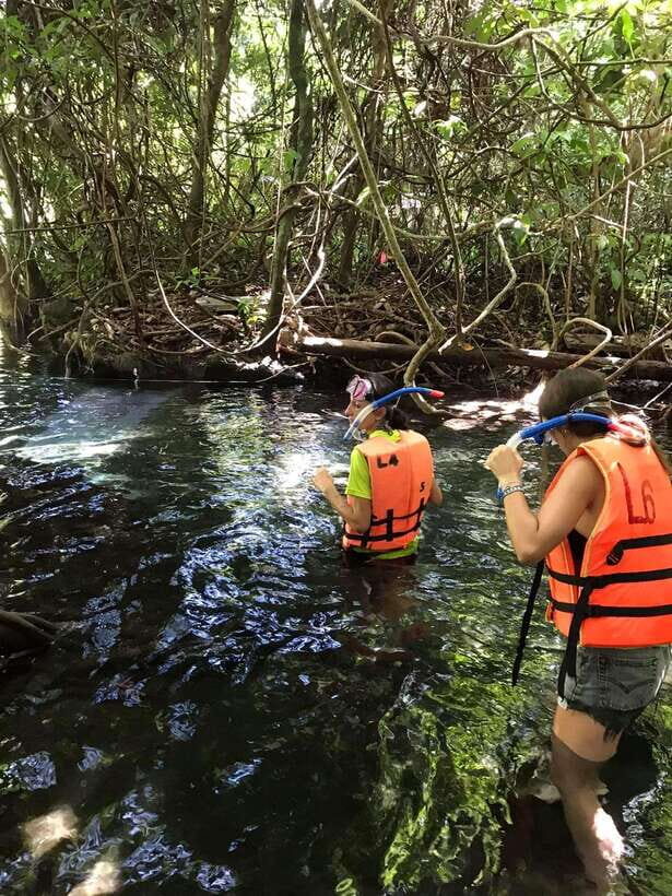 Krabi: Amazon Klong Srakaew Kayaking With Lunch - An In-Depth Look at Krabi’s Amazon Klong SraKaew Kayaking Tour