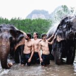Krabi: Elephant Bathing Session at Krabi Elephant Shelter - What Makes It Special?