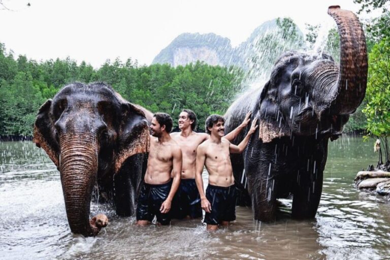 Krabi: Elephant Bathing Session at Krabi Elephant Shelter - What Makes It Special?