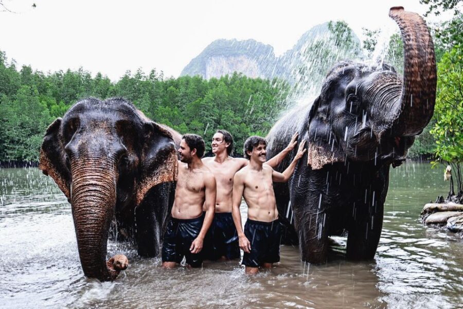 Krabi: Elephant Bathing Session at Krabi Elephant Shelter - What Makes It Special?