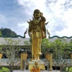 Krabi Emerald Pool, Hot Spring and Tiger Temple - Final Thoughts on Value and Suitability