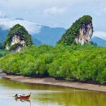 Krabi: Emerald Pool, Hot Springs & Krabi Town Day Tour - Analyzing the Cost and Value