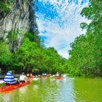 Krabi: Half-Day Bor Thor Mangrove Kayaking Tour - The Itinerary: What to Expect