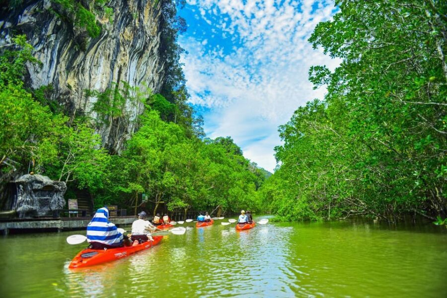 Krabi: Half-Day Bor Thor Mangrove Kayaking Tour - The Itinerary: What to Expect