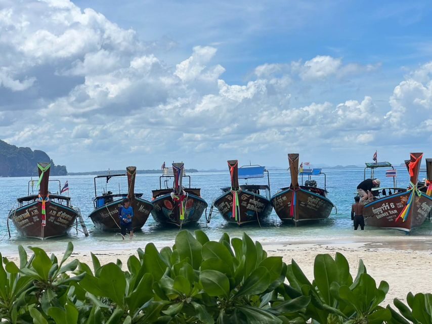 Krabi Hong Island Day Trip by Speed boat or Longtail Boat - Who Should Consider This Tour?