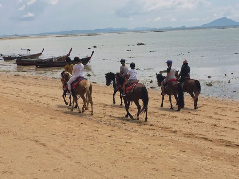 Krabi: Horseback Riding on the Beach - Final Thoughts: Is the Horseback Riding Tour in Krabi Worth It?