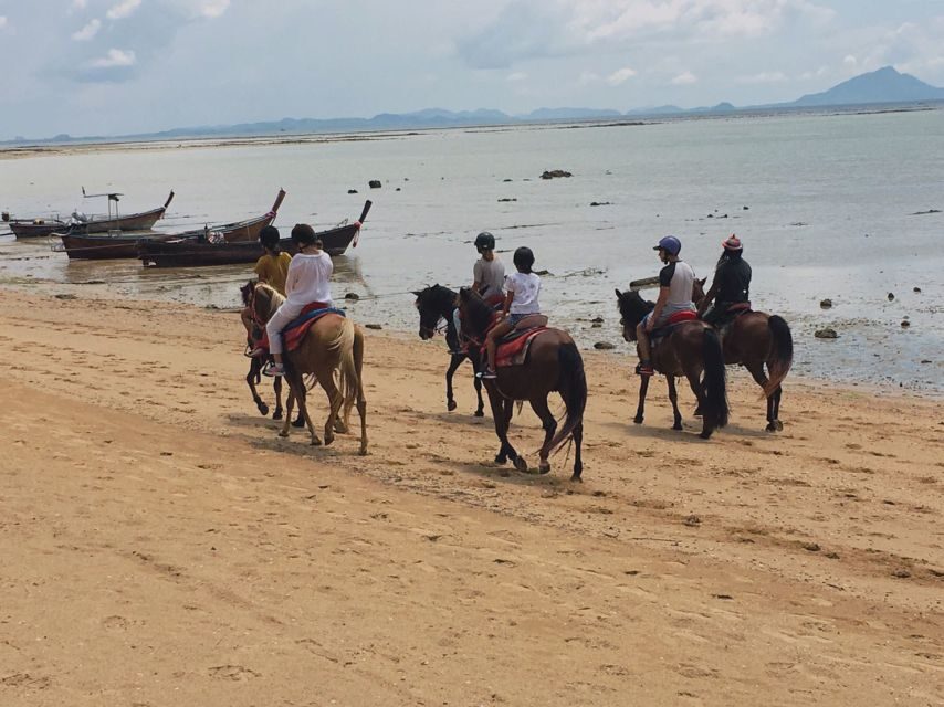 Krabi: Horseback Riding on the Beach - Final Thoughts: Is the Horseback Riding Tour in Krabi Worth It?