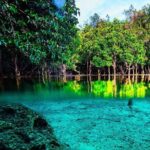 Krabi Jungle Tour with ATV Riding - Who Would Love This Tour?