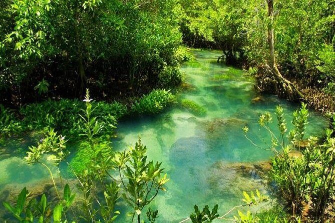 Krabi Jungle Tour:Krabi Hot Springs Waterfall,Emerald Pool and Tiger Cave Temple - A Detailed Look at the Krabi Jungle Tour