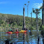 Krabi: Klong Root (Crystal lake) Kayaking tour - A Complete Look at the Krabi Klong Root Kayaking Tour