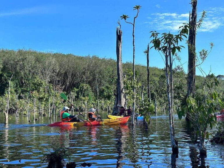 Krabi: Klong Root (Crystal lake) Kayaking tour - A Complete Look at the Krabi Klong Root Kayaking Tour