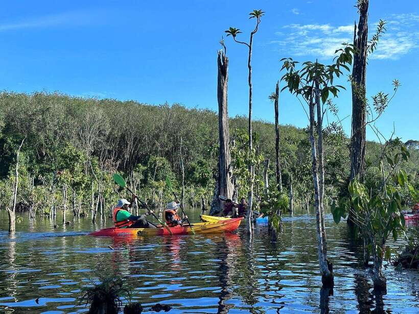 Krabi: Klong Root (Crystal lake) Kayaking tour - A Complete Look at the Krabi Klong Root Kayaking Tour