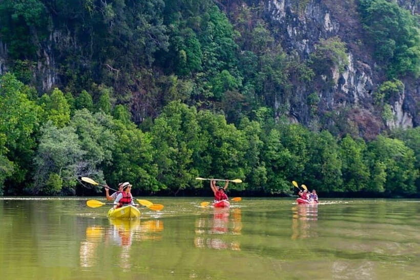Krabi: Mangrove Kayak Adventure in Boh Tor, Ao Luek - Why This Tour Stands Out
