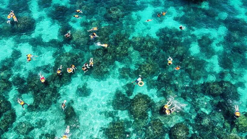 Krabi: Phi Phi and 4 Islands with Snorkeling by Speed Boat - The Authenticity and Value of the Tour