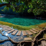 Krabi: Rainforest Jungle Tour with Emerald Pool & Hot Spring - Who Should Consider This Tour?
