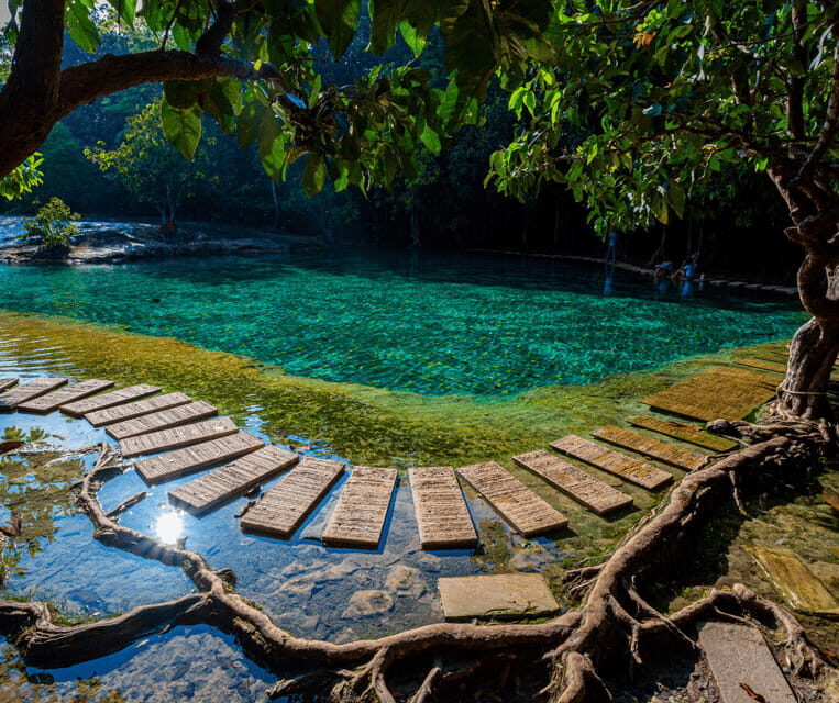 Krabi: Rainforest Jungle Tour with Emerald Pool & Hot Spring - Who Should Consider This Tour?