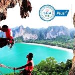 Krabi Rock Climbing Small-Group Experience - The Itinerary: What You Can Expect