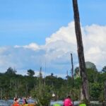 Krabi: South Kayak Klong Root Kayaking Tour - Practical Details and Tips